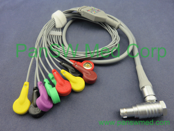 GE seer holter cable