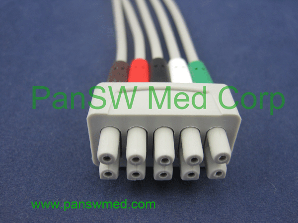 GE medical ECG leads AHA color