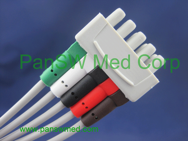 GE Medical ECG leads AHA color