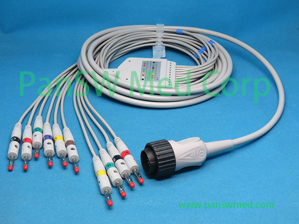 Compatible Cardioline Delta 1 Plus Delta 3 ECG Cable – PanswMed