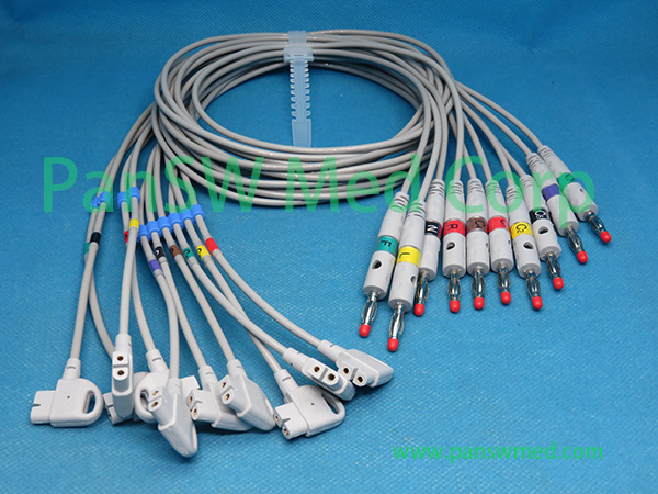 Compatible Philips Pagewriter 989803129191 ECG Leads – PanswMed