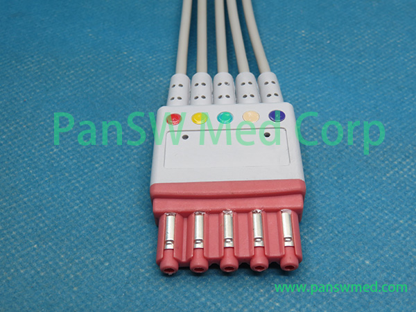 Compatible Siemens 10 LEAD ECG Trunk Cable IEC2 6644541 E295E Leads3 - PanswMed