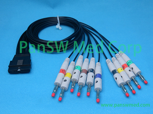 Compatible Schiller MS 12 Blue Holter ECG Cable – PanswMed